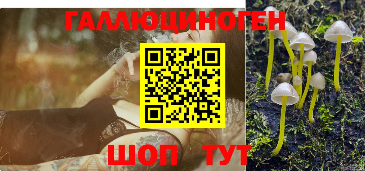 ГАШ  Бошки Шишки  LSD-25  Курчалой  Экстази  Вход с VPN  A-PVP СОЛЬ кристаллы  Меф МЯУ МЯУ кристаллы  Меф МЯУ МЯУ 